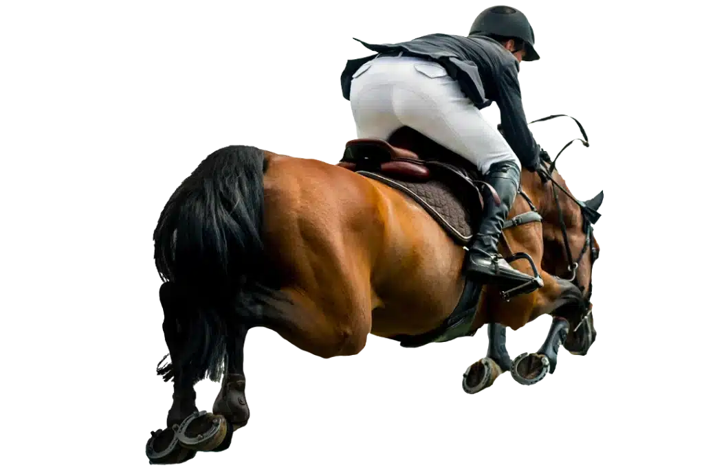 Alumne d'equitació saltant amb el cavall