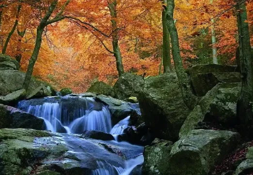 Parc Natural del Montseny